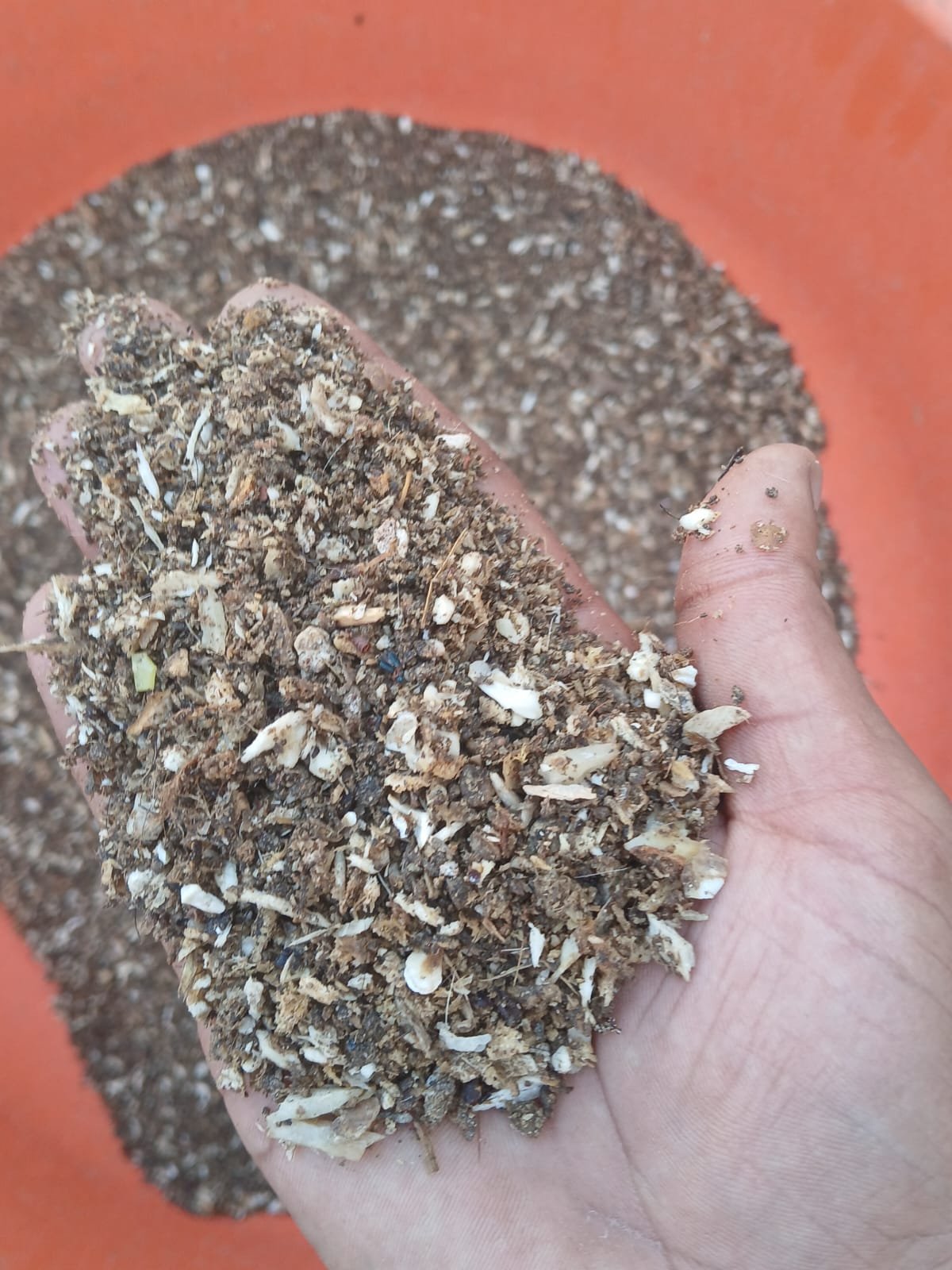 Crushed Bone Chips Stock